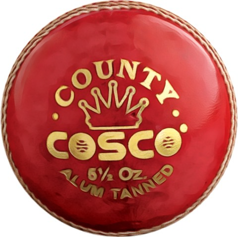 Cosco County Cricket Ball Alum Tanned