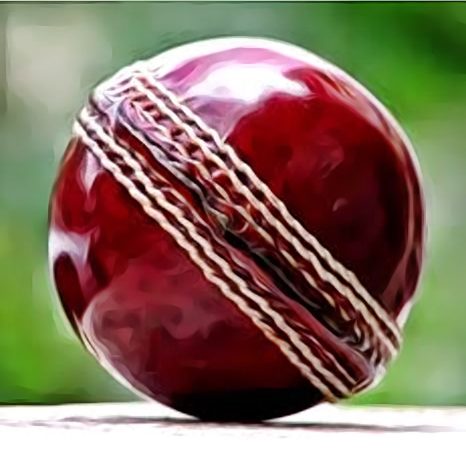 Raisco RB01 Leather Match Four Piece Cricket Ball