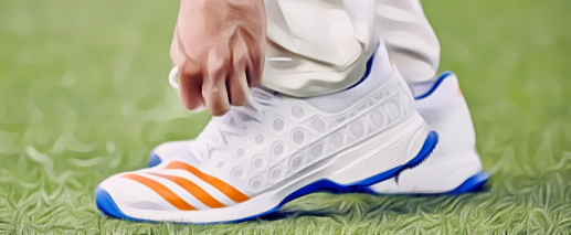 Top Cricket Shoes Reviewed