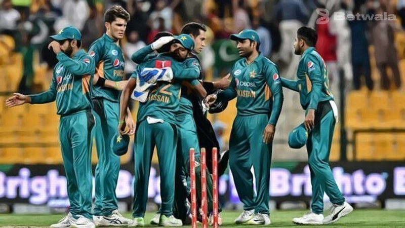 Pakistan vs New Zealand: Shaheens Won By 6 Wickets