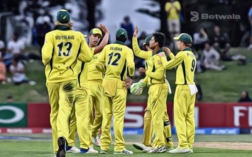 Australian Cricketers' Online Attitude Causes Disappointment