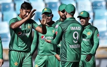 Netherlands and Ireland to Host Pakistan in 2020