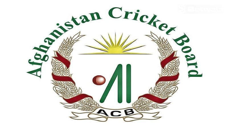 Afghanistan Cricket Board Appoints New CEO