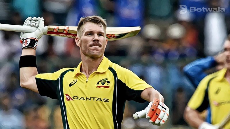 David Warner Withdraws From ‘The Hundred’