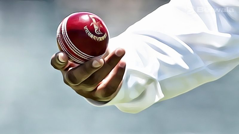 Wax Applicators Developed for Shining Cricket Balls