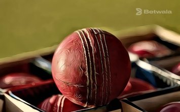 Pat Cummins Asks for Another Way to Shine Cricket Balls